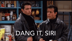 Joey Tribbiani Dang It Siri GIF