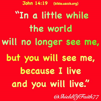 John 14:19 World Won't See Me, You Will GIF