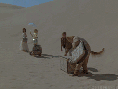 John Candy Dropping Bags GIF