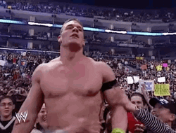 John Cena Fans WWE Champion GIF