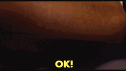 John Krasinski I Concede You Win GIF