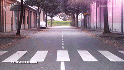 John Lennon The Voice Senior GIF