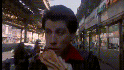 John Travolta Saturday Night Fever GIF