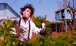 Johnny Depp Edward Scissorhands GIF