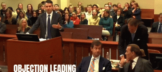 Johnny Depp Trial Objection Leading GIF