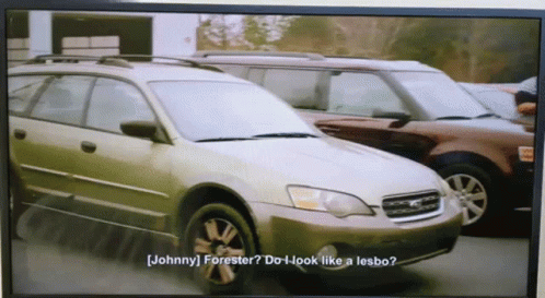 Johnny Forester Do I Look Like A Lesbo Is Being Asked GIF