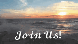 Join Us Amazing Ocean Sunrise View GIF