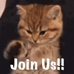 Join Us Cute Ginger Kitten Waving GIF