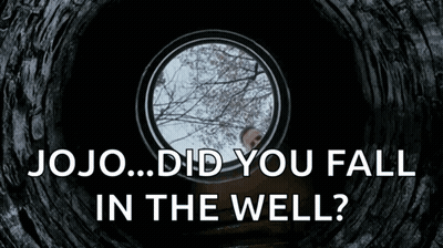 Jojo Did You Fall In The Well White On Black GIF