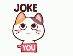 Joke Cute Cat You GIF