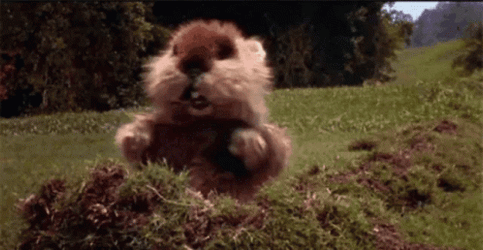 Jolly Gopher Dancing GIF