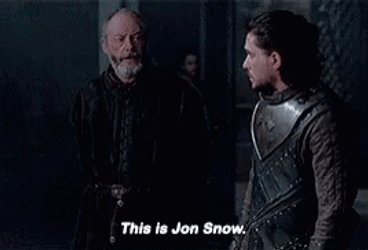 Jon Snow Being Introduced Game Of Thrones GIF