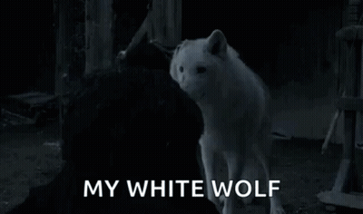 Jon Snow Holding White Wolf Saying My White Wolf GIF