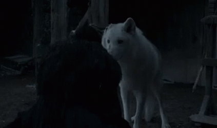 Jon Snow Petting Direwolf Ghost GIF
