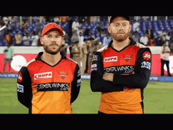 Jonny Bairstow David Warner Cricketer GIF