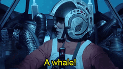 Jontron A Whale GIF