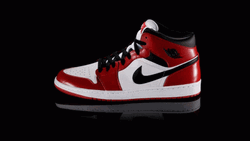 Jordan 4 Evolution Pictures GIF