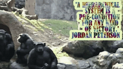 Jordan Peterson Quote In Front Of Monkeys GIF