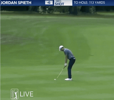Jordan Spieth 3Rd Shot In The Woods GIF