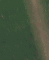 Joshua Zirkzee Unwavering Focus GIF