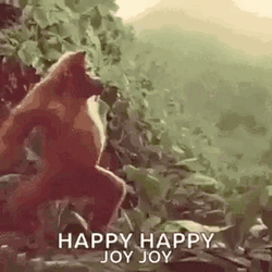 Joy Happy Dance Monkey GIF