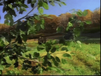 Joyful Mazel Tov Finally On Your Way GIF