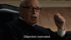 Judge Decision Objection Overruled GIF