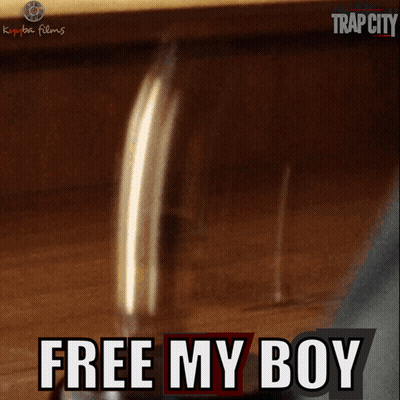 Judge Gavel Free My Boy GIF