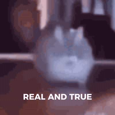 Judge In Robe Says My Pleasure In Front Of Door GIF
