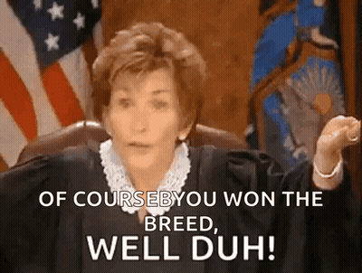Judge Saying Of Course You Won Breed Duh GIF