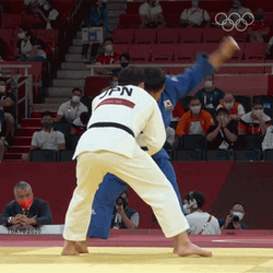 Judo Aaron Wolf Guham Cho GIF