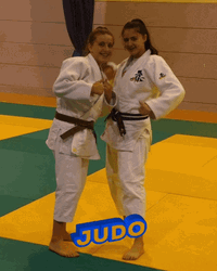 Judo Chop Women Partners GIF