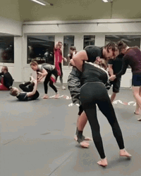 Judo Grappling GIF