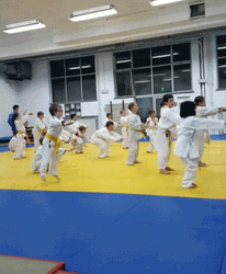 Judo Kids Squat GIF