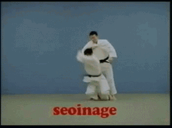 Judo Techniques GIF