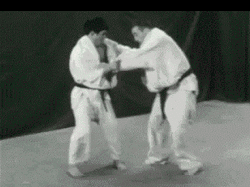 karate chop fail gif