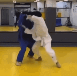 Judo Throw GIF