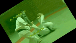 Judo Winning Throw  GIF