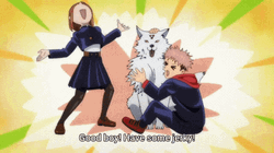 Jujutsu Kaisen Good Boy Jerky GIF
