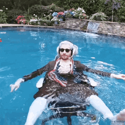 July 4Th Relaxing Independence Day Washington GIF