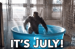 July Blessings Dancing In The Pool GIF