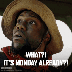 Jumanji Franklin Mouse Finbar Funny Monday Meme GIF