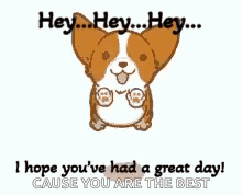 Jumping Corgi Hope You Had Fun GIF