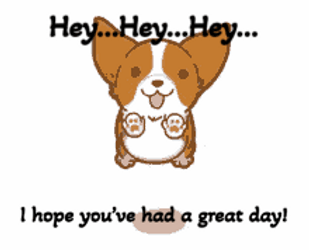 Jumping Dog Hope Youve Had A Great Day GIF
