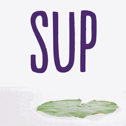 Jumping Frog Says Sup GIF