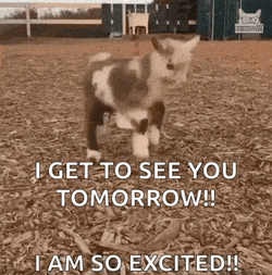 Jumping Kid Jumping GIF