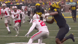 Jumping Michigan Wolverines GIF