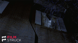 Jumping Out Window The Exorcist Scene GIF