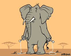Jumping Rope Cute Big Elephant GIF