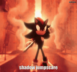Jumpscare Shadow The Hedgehog GIF